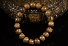 大方广佛华严经论卷第十-内学智慧