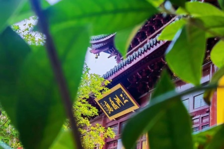 经律异相卷第二十九-内学智慧