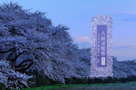 大般涅槃经卷第二十-内学智慧