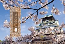 大般若波罗蜜多经卷第十八-内学智慧