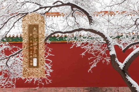 大般若波罗蜜多经卷第一百八十四-内学智慧