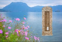 大般若波罗蜜多经卷第一百九十七-内学智慧