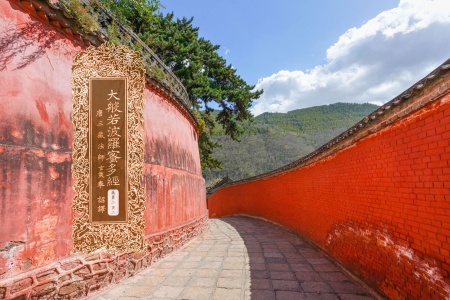 大般若波罗蜜多经卷第二百二-内学智慧