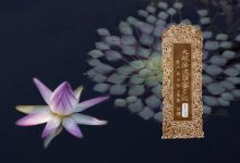 大般若波罗蜜多经卷第二百七-内学智慧