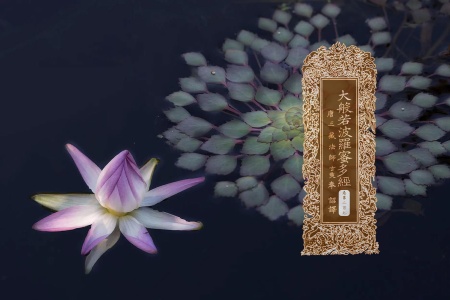 大般若波罗蜜多经卷第二百七-内学智慧