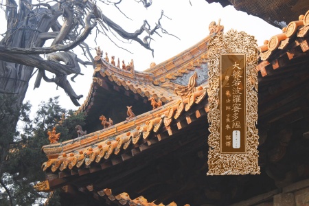 大般若波罗蜜多经卷第二百一十九-内学智慧