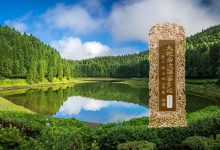 大般若波罗蜜多经卷第二百二十一-内学智慧