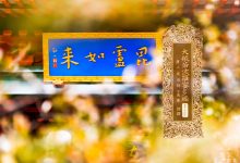 大般若波罗蜜多经卷第二百二十三-内学智慧