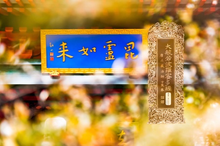 大般若波罗蜜多经卷第二百二十三-内学智慧