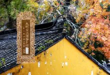 大般若波罗蜜多经卷第二百三十八-内学智慧