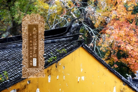 大般若波罗蜜多经卷第二百三十八-内学智慧