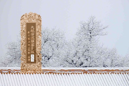 大般若波罗蜜多经卷第二百四十-内学智慧