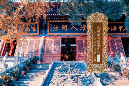 大般若波罗蜜多经卷第二百四十三-内学智慧