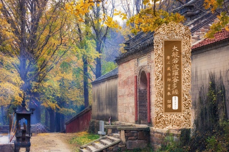 大般若波罗蜜多经卷第二百四十七-内学智慧