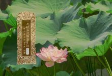 大般若波罗蜜多经卷第二百四十八-内学智慧