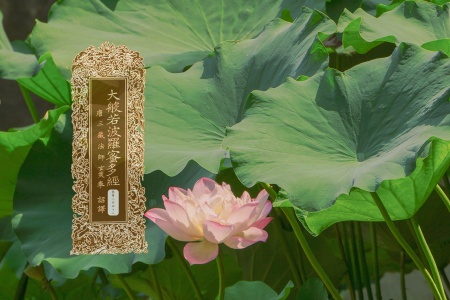 大般若波罗蜜多经卷第二百四十八-内学智慧