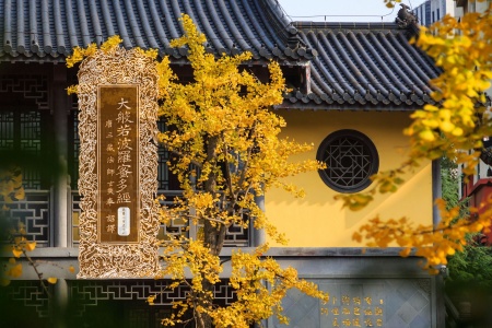 大般若波罗蜜多经卷第二百五十六-内学智慧