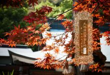 大般若波罗蜜多经卷第二百七十三-内学智慧