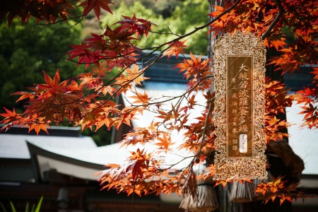 大般若波罗蜜多经卷第二百七十三-内学智慧