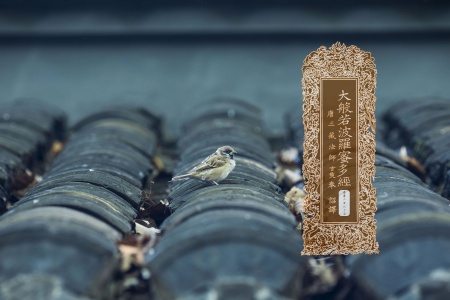 大般若波罗蜜多经卷第二百八十五-内学智慧