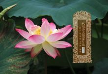 大般若波罗蜜多经卷第四十一-内学智慧