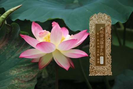 大般若波罗蜜多经卷第四十一-内学智慧