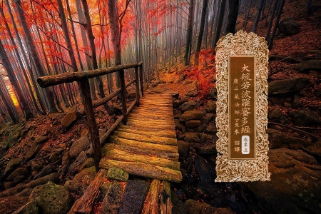 大般若波罗蜜多经卷第五-内学智慧