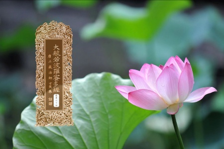 大般若波罗蜜多经卷第六十四-内学智慧