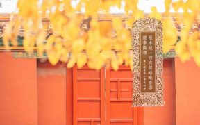 根本说一切有部略毗奈耶杂事摄颂一卷-内学智慧