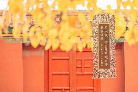 根本说一切有部略毗奈耶杂事摄颂一卷-内学智慧