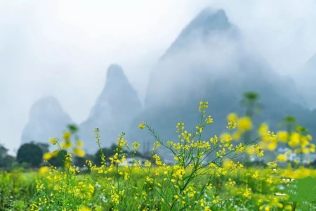 持心阅藏：新学菩萨为什么要远离恶友？-内学智慧