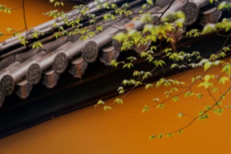 持心趣解｜《大乘离文字普光明藏经》玄义-内学智慧