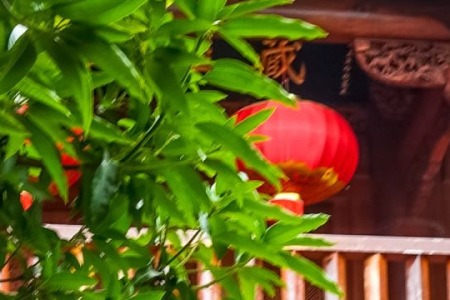 打破出家与在家的认知偏见-内学智慧宝库