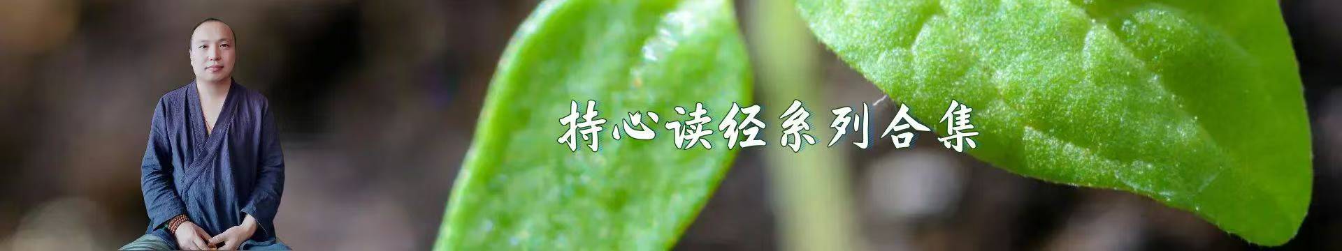持心读经系列合集