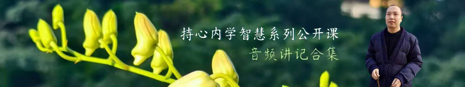 持心内学智慧音频讲记